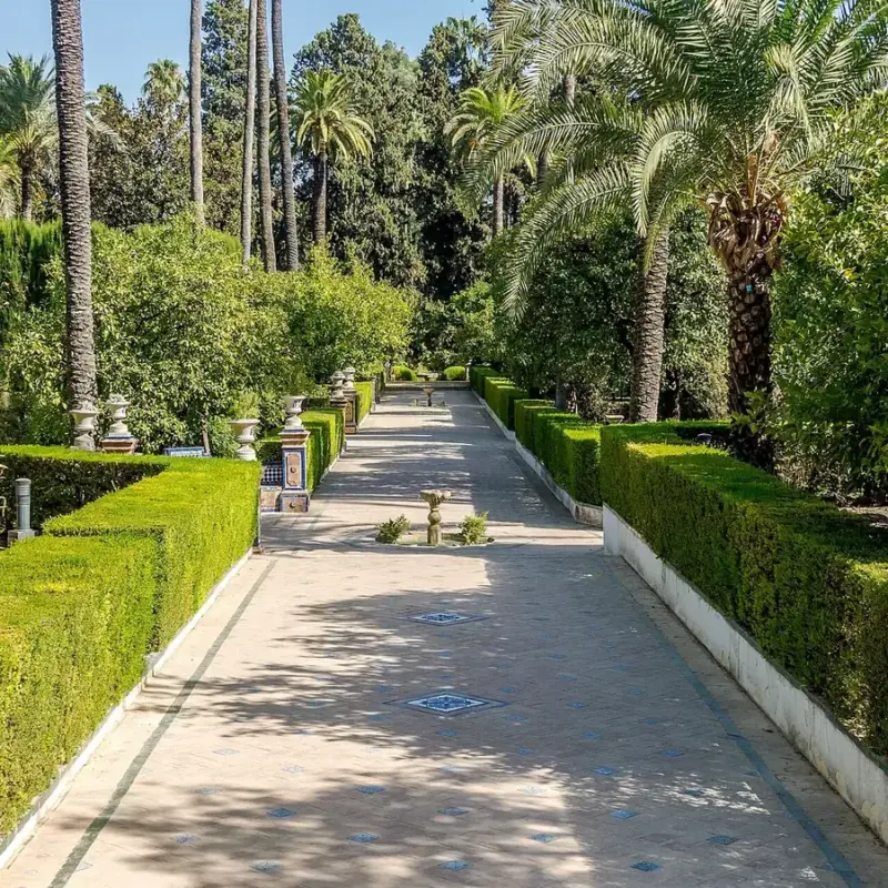 Cubiertas de Sevilla, en Andalucía